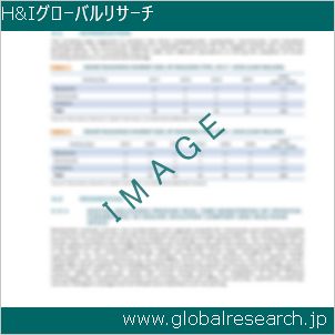 グローバルリサーチ調査レポートのイメージ